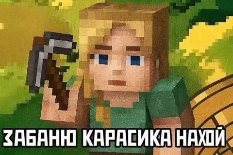 мем: майнкрафт-персонаж с киркой, «ЗАБАНЮ КАРАСИКА НАХОЙ» (про Мизулину)