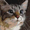 Мап-арт: Котёнок