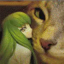 Мап-арт: Кот и аниме-девушка