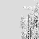 Мап-арт: Заснеженный лес