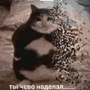 Мап-арт: Кот: «ты чево наделал...»
