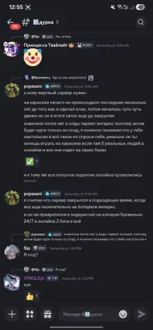 Дс «дурка»: popasani - «а кому мертвый сервер нужен... сервер закрылся в подходящее время... не превратился в эндкристал»; Sip, S1NGLEpl