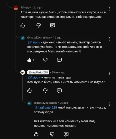 1sippy «кем нужно быть, чтобы плакаться в ютубе»; mast32karasique; nag1bator228 «у меня нет твиттера. Кем нужно быть, чтобы читать комменты на ютубе?»