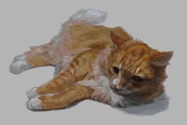 Мап-арт: Рыжий кот